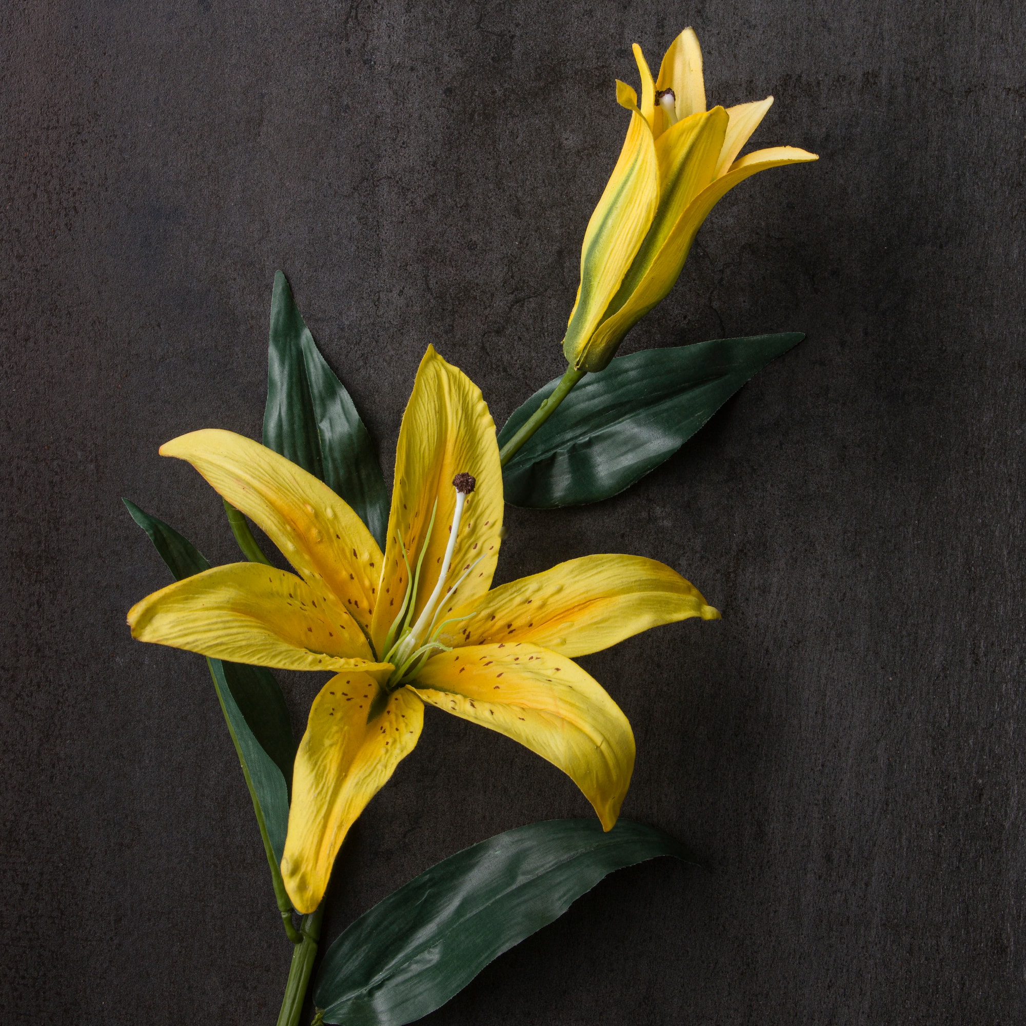 12 Pack: Yellow Casablanca Lily Stem by Ashland®